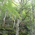 Sveva Bed and breakfast Rocca Imperiale