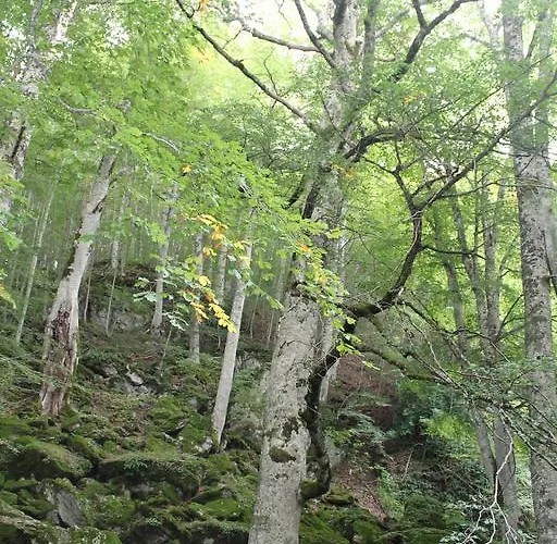 Sveva Frühstückspension Rocca Imperiale