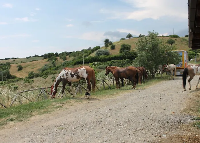 Sveva Frühstückspension
