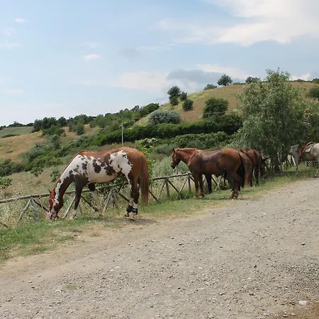 Sveva Alojamento de Acomodação e Pequeno-almoço